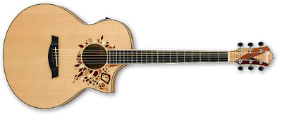 Gitar Akustik Ibanez AEW15LTD1