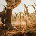5 Facts you need to know about the soil erosion