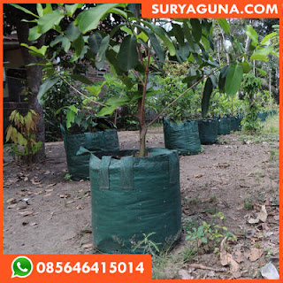 planter bag dari suryaguna 085646415014