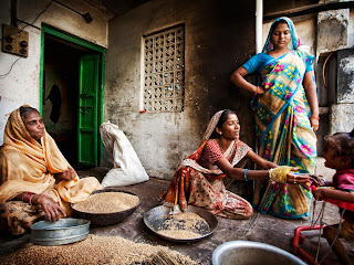 Fantastic Photo of Women sorting Wheat in India