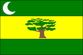 Bandeira de Acaiaca