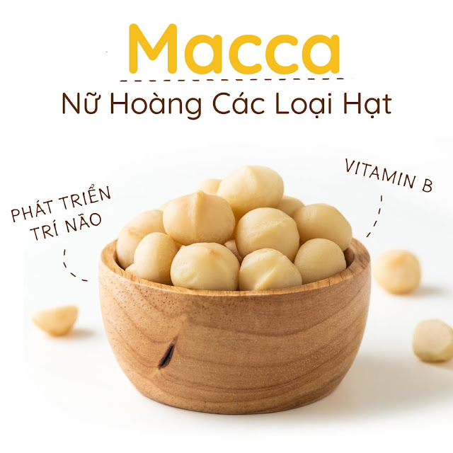 Macca được mệnh danh là nữ hoàng các loại hạt vì mang lại vô số lợi ích cho sức khỏe