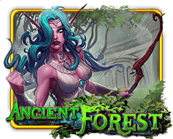 Xe 88 Ancient Forest Anti Scam Casino Organization