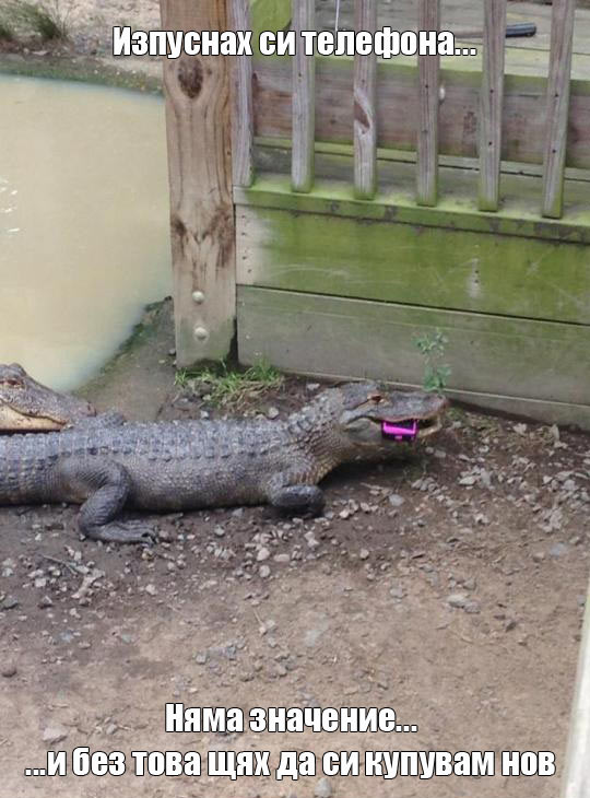 телефон и крокодил