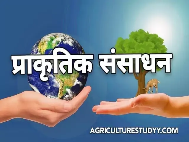 प्राकृतिक संसाधन ( Natural resources in hindi