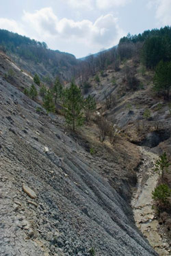 Каньон вблизи Красноселовки
