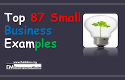 Entrepreneur Examples In India