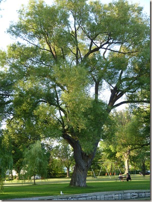 P1000856