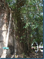 DSCF6240