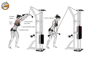 The 5 Best Exercises for Bigger Lats