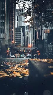 صاحب أخويا، أسماء شميس حكاوي بالعامية