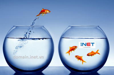 Chiến lược đầu tư và kinh doanh tên miền - iNET