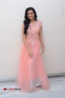 Actress Neha Hinge Stills in Pink Long Dress at Srivalli Teaser Launch  0152.JPG