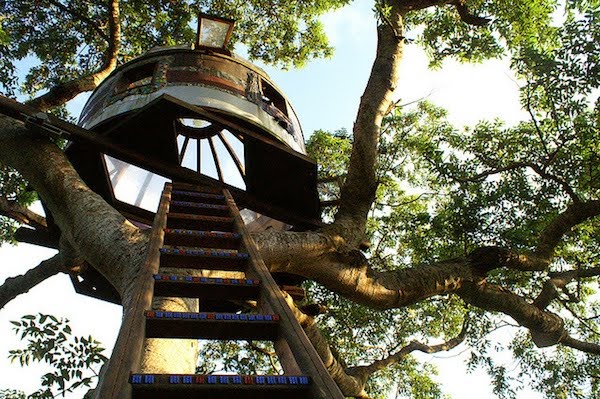 Top 10 Shaky Treehouses