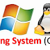 Operating System (OS)