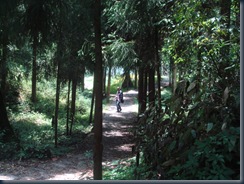 Palace path