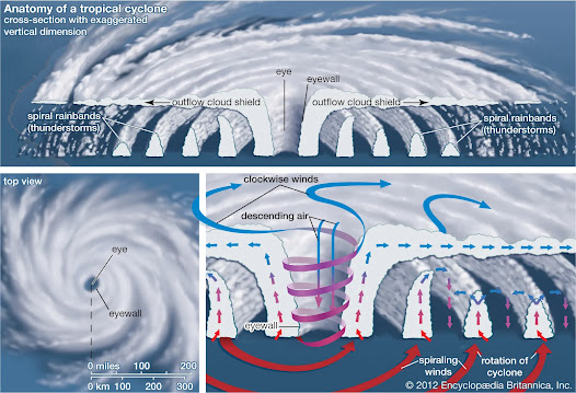 structure of cyclone