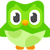  System Hardware and Software Requirements for Duolingo English Test