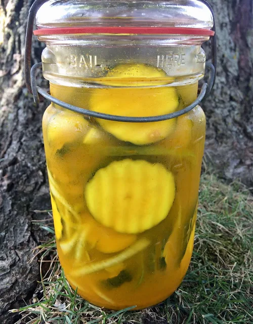 A large jar full of bread and butter zucchini pickles.