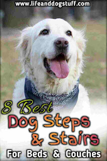 8 Best Dog Steps and Stairs For Bed