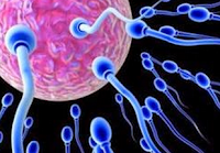 Mengenal Jenis Sperma Bening dan Encer