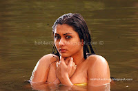 Namitha, hot, bathing, sexy, photo, gallery