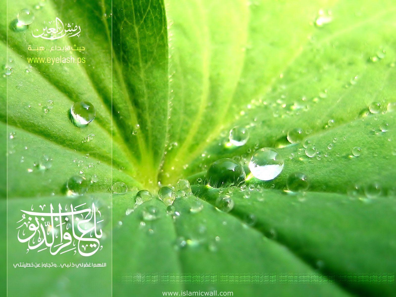 imagesofthe blog Islamic  HD green  wallpapers  another 
