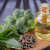 Castor Oil Hair Benefits