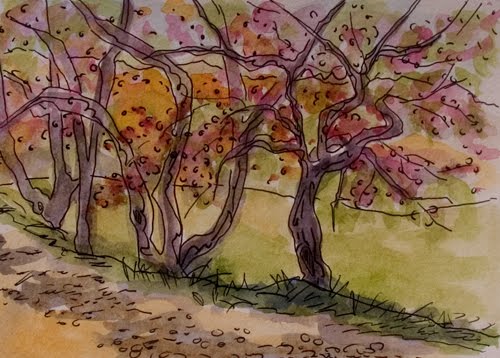 Watercolors Of Trees. Apple Trees no. 2, watercolor