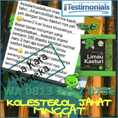 √ Gambar Limau Kasturi ⭐ Bisnis MLM Baru ✅ Bisnis Online