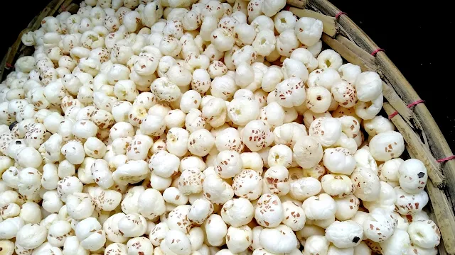 TOP-QUALITY INDIAN FOX NUTS (MAKHANA)