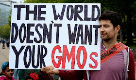 Anti-GM campaigner holds a sign which says the world doesn't want your GMOs