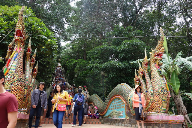 monk trail trek, monk trail trekking, monk trail treks, doi suthep trek, doi suthep treks, doi suthep trekking, trekking at doi Suthep, trekking in doi suthep