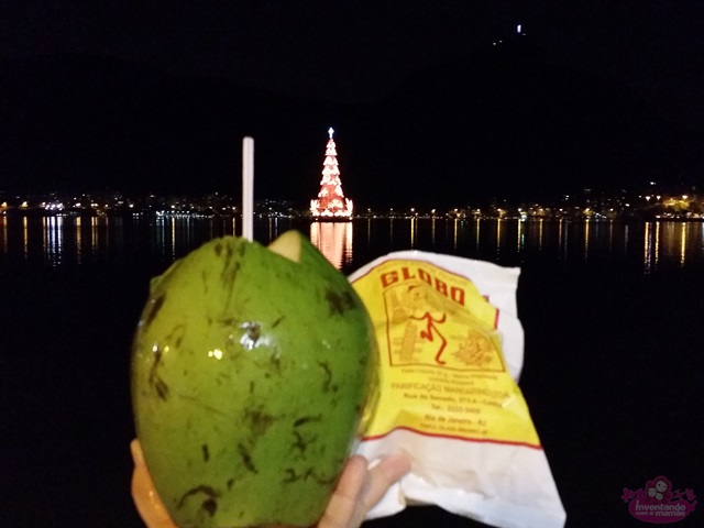 Passeio de barco até a árvore de Natal da Lagoa