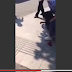 بالفيديو: شاب يذبح صديقته "حبيبته" بالسكين في الشارع وأمام المارّة!