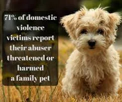 pet cruelty from abusers