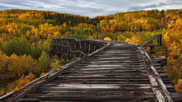 Bridge Photography