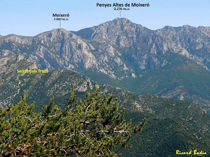 Zoom al Moixeró des de la Roca Tiraval. Autor: Ricard Badia