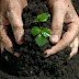 Proteja su salud y el Medio Ambiente con el uso de abono orgánico ecológico