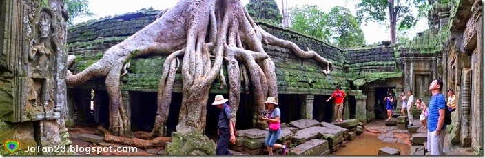 ta-prohm-siem-reap-cambodia-jotan23 (3)