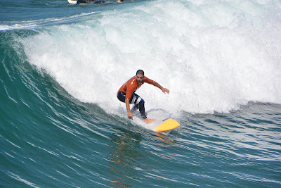 surfer riding a wave: LadyD Books