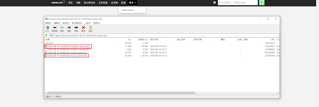 SonarQube CNES Report - 匯出「檢測結果」報表