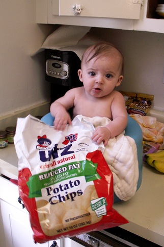 Elaine 21 Weeks Utz Addict