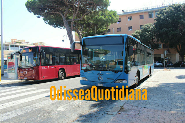 Rete bus notturna: dall’8 maggio attiva la nuova linea n070