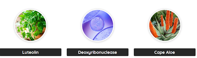 NanoDefense Pro