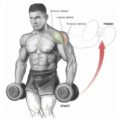 The Most Effective Shoulder Dumbbell Exercises