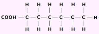 Saturated fatty acid