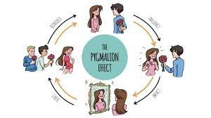 The Pygmalion effect Explained The Pygmalion effect Explained