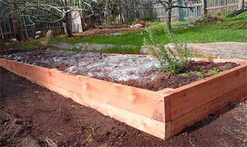 Amazing raised garden beds