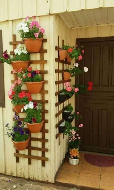 Painel de Pallet para Plantas